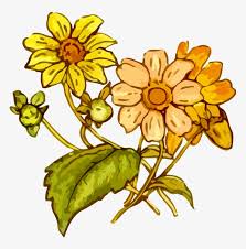7 photos · curated by erica henry. Floral Design Flowering Plant Cretaceous Plants Yellow Flower Drawing Png Png Image Transparent Png Free Download On Seekpng