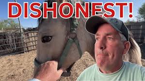 Gather horses w/Danielle