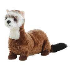 Aurora 8 Sable Ferret Disc Ferret Ferret Toys Plush Animals
