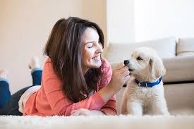 Go to summerville pet clinic. Veterinarian In Summerville Sc Knightsville Veterinary Clinic