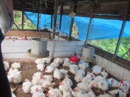 The crossword clue possible answer is available in 4 letters. Projects Supported In 2018 Light A Single Candle Foundation