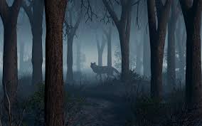 Wolf Woods Google Sok Wolf Painting Werewolf Art Wolf Art