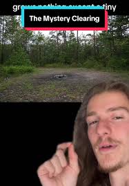 The Devils Tramping Grounds #travel #usa #history #lesson #interesting  #creepy #cool #ancient #artifact #discovery #theory #alien #ufo #mystery  #forest #hike #backpack #appalachia #paranormal #explore ...