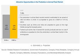 The malaysian government movement control order (malay: Probiotics In Animal Feed Market By Livestock Source Form And Region Covid 19 Impact On Probiotics In Animal Feed Market Marketsandmarkets