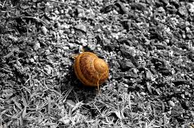 We did not find results for: How To Make Background Black Or White In Snapseed