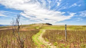 At a high elevation of over 5,000 feet, this park is surrounded by gorgeous mountain vistas. Appalachian Trail Backpacking Grayson Highlands Virginia April 2017 Youtube