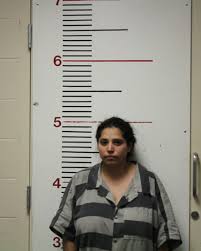 On tuesday, may 4th, the library will be holding community meetings at 10:00 am, 1:00pm, and 6:00pm and requests for the public to join in. Palestine Police Arrest 3 In Equipment Heist News Palestineherald Com