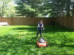 It will be a piece of cake with these five easy steps. Useful Tips For Cleaning Your Backyard Ideas By Mr Right