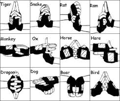Afbeeldingsresultaat Voor Naruto Hand Signs For Chidori Level 3 Naruto Hand Signs Naruto Hands