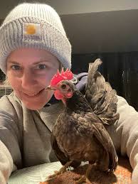 A special little guy turned 2 Contact me for all your baking needs.  🧁🍰🥧🍪🍭🎂