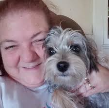 Where to find parts for a 1968 110 John Deere lawnmower?