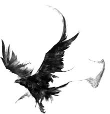 Poe's bird was inspired partly by the pet raven, grip, in charles of course i pretend to no originality in either the rhythm or metre of the raven. the former is trochaic—the latter is octametre acatalectic, alternating. Raven Bytes Webentwicklung Webdesign Im Kreis Viersen Und Umgebung