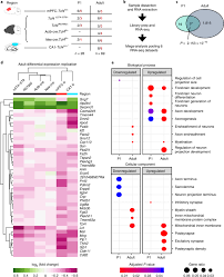 Mula sa 99 na taon ay naging 25 taon na lamang ito. A Myelin Related Transcriptomic Profile Is Shared By Pitt Hopkins Syndrome Models And Human Autism Spectrum Disorder Nature Neuroscience