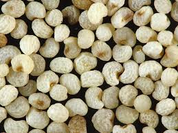 We did not find results for: The Nutritional And Health Benefits Of Poppy Seeds Or Khus Khus Hubpages