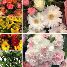 Fast track your savings with boosters on new products, your big shops, your small shops and more. Lazy Travel Days On Twitter Today S Flowers Woolworths Were Sub Standard I Didn T Photograph The Roses As They Were Close To Dead Sunday Flowers Are Not Fresh Woolworths Eastmaitland