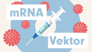 We did not find results for: Sars Cov 2 Corona Impfstoffe Im Vergleich Mrna Und Vektor Open Science