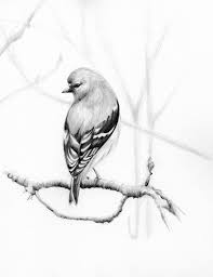Original Art Inspirational Wall Art Fine Art Original Print Etsy Bird Art Print Bird Drawings Bird Pencil Drawing