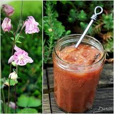 Confiture De Rhubarbe A La Vanille De Madagascar Et Gingembre Rhubarbe Confiture Rhubarbe Confiture