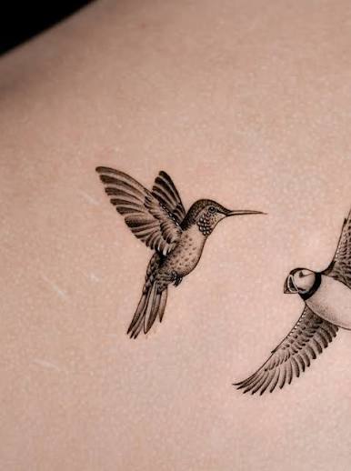 Lightness in motion, captured in every detail 🕊️ A hummingbird and a Pufin in fine line, birds in flight with delicate details and smooth gradients, creating a light and timeless composition. Would