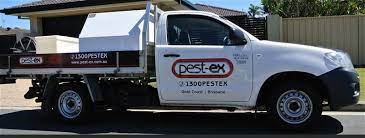 Pest ex is a leading pest control & termite treatment services company based in gold coast got pests? Pest Ex Brisbane Termite Control Treatment Services Homeimprovement2day
