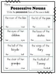 Choose whether to practice singular plural possessive by navigating a treacherous galaxy filled with green monsters, a sea filled with pirates or a river filled with crocodiles. 9 Possessive Ideas Possessives Possessive Nouns Plurals