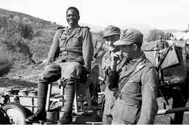 The palm tree and swastika. Black soldiers of the Wehrmacht tried to  conquer the Caucasus - KXAN36 - Austin Daily News