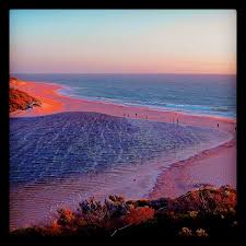Another Shot Taken In Moore River Western Australia Where The River Meets The Ocean Western Australia Travel Australia Travel Western Australia