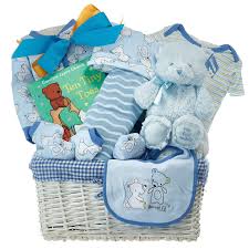 Puppies come with a wonderful puppy package: Welcome A New Baby Boy With Our Premium Gift Baskets My Baskets