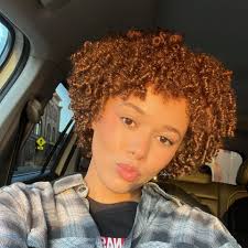 Why are the Mormon wives