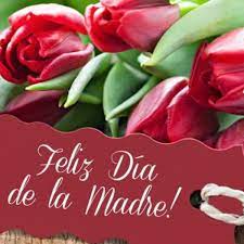 Día nacional de la madre. Conoce Cuando Es El Dia De La Madre En Chile Este 2020 Redgol