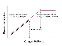 The Oxygen Delivery Oxygen Consumption Relationship Download Scientific Diagram