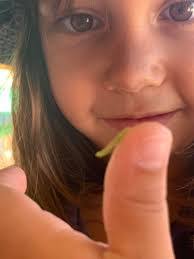 Annalise Edwards's Instagram, Twitter & Facebook