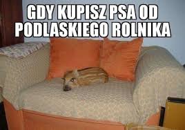 Check spelling or type a new query. Memy O Rolnikach Z Woj Podlaskiego Zobacz Najlepsze Smieszne Obrazki 03 07 2021 Strefa Agro