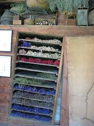 The Flower Drying Shed At The Clock Barn Carlisle Ma Pith Vigor Dried Flowers Industrial Garden Shed