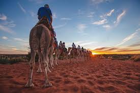 Say hello to one of their friendly camels, take a short ride around the enclosure or browse through the interesting assortment of souvenirs and local aboriginal art on display in their shop. Uluru Small Group Tour By Camel At Sunrise Or Sunset Marriott