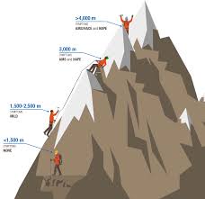 Image result for High Altitude Edema