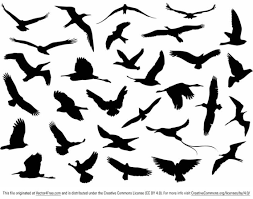 The best selection of royalty free bird in flight silhouette vector art, graphics and stock illustrations. Free Vector Flying Birds Silhouette