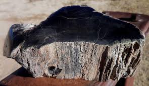 It is a very grounding stone in nature. 2lb Az Arizona Polished Black Petrified Wood Section Knot Fossil Crystal 1903512998