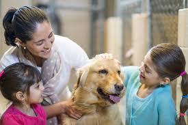 Free anonymous url redirection service. National Rescue Dog Day 40 Essentials For New Owners
