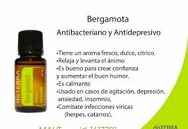 Bergamota Aceite De Bergamota Aceites Esenciales Doterra Mezclas De Aceites Esenciales