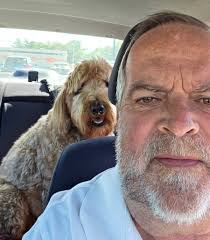 Where do people put their dogs to strap them in?