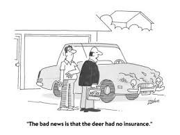 Check spelling or type a new query. Auto Insurance Cartoon Insurance Humor Car Insurance Life Insurance Policy