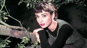 Audrey Hepburn Wallpaper Hd 43fr48x Picserio Com This wallpaper has been tagged with the following keywords: audrey hepburn wallpaper hd 43fr48x