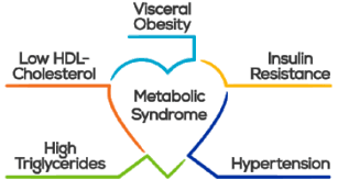 Lowering Metabolic Syndrome Risk Factors Which Type Of Exercise Is Most Effective Kelly Personal Training