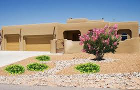 Check spelling or type a new query. Best Heat Tolerant Shrubs For Desert Landscapes Watters Garden Center