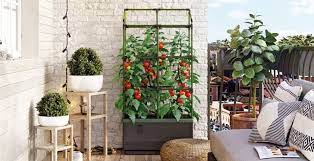 Home edible landscaping how to create an amazing homestead garden. Tips For Growing Successful Container Gardens Home Garden And Homestead