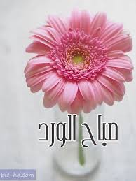 صور صباح الورد صباح الورد مكتوبة علي صور صباحية Good Morning Inspirational Quotes Morning Inspirational Quotes Morning Flowers