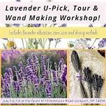 Lavender Days! U-Pick Lavender Tour