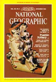 Image result for Brown 1983 Fleet