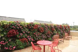 To add some height differences, consider a hanging garden wall planter. Outdoor Livewall Vertical Plant Wall System